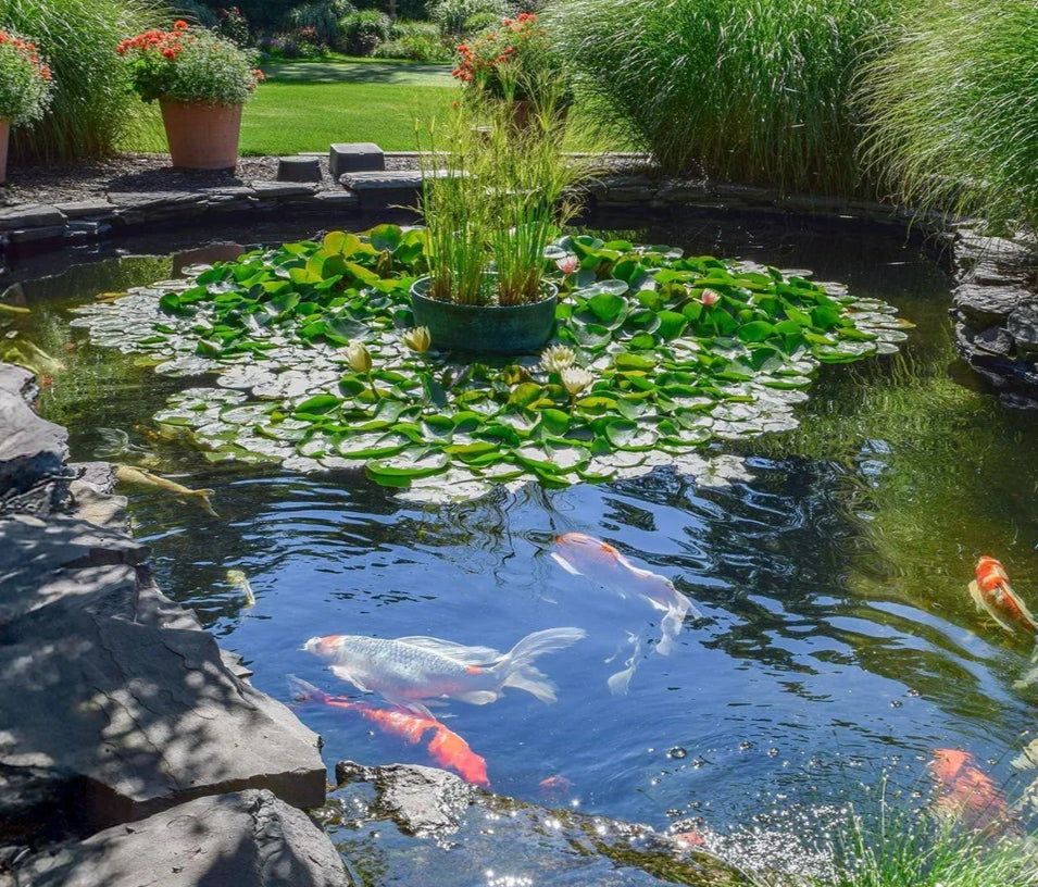 fish pond accessories near me Universal Cover | Adjustable Steel Pond Protection with Telescopic Legs | Black Finish | (W)9ft - 16ft Protect your pond with the Universal Pond Cover a thoughtfully engineered Gardenised Floating Plastic Pond Fish