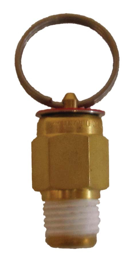 PR40 40 psi pressure release valve