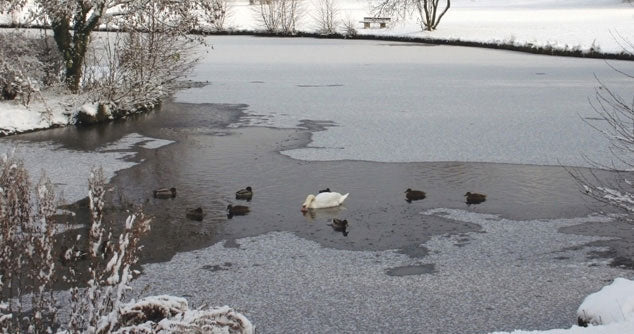 8 Essential Items to Get You Through Winter Without a Hitch