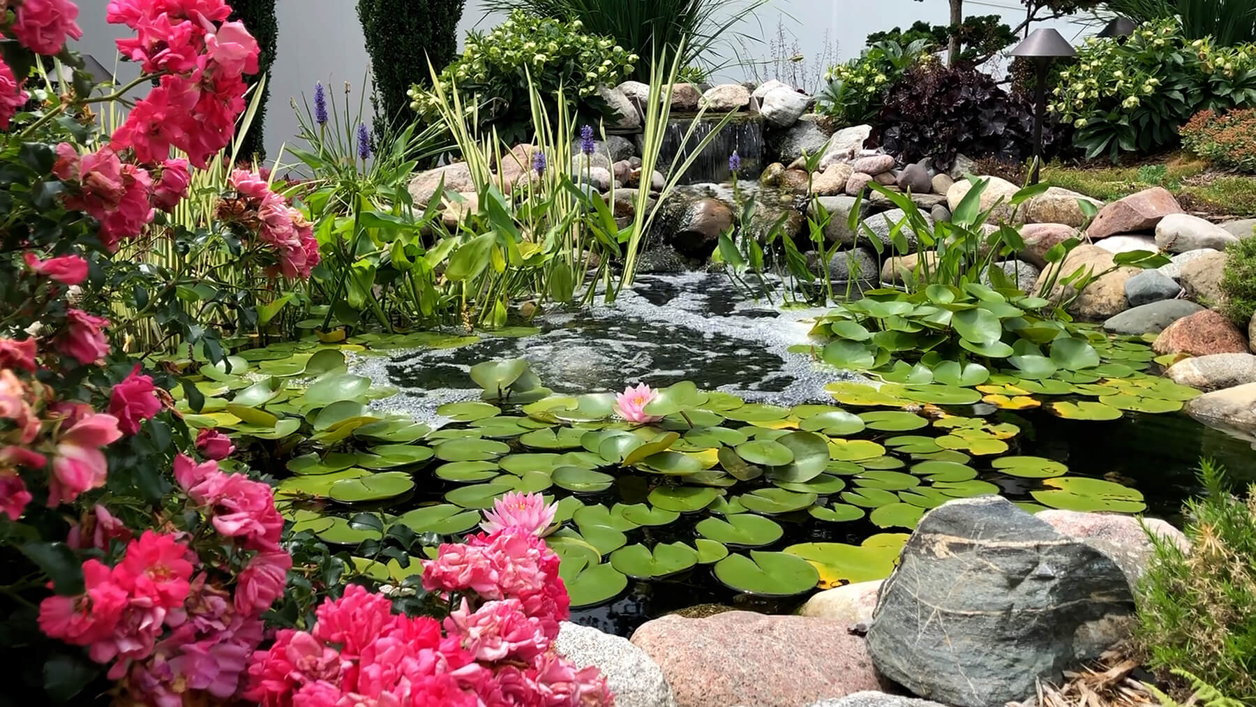 Small Backyard Pond Ideas That Actually Work