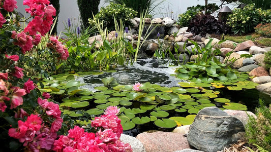 Small Backyard Pond Ideas That Actually Work