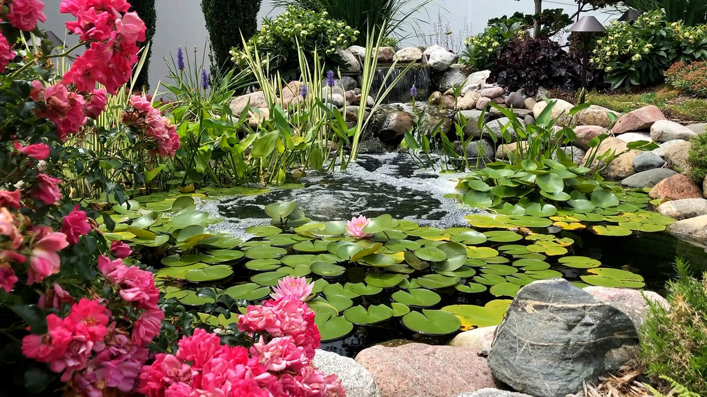 Small Backyard Pond Ideas That Actually Work