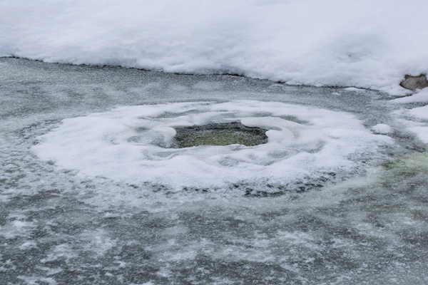 The Basics of Water Garden Winterizing