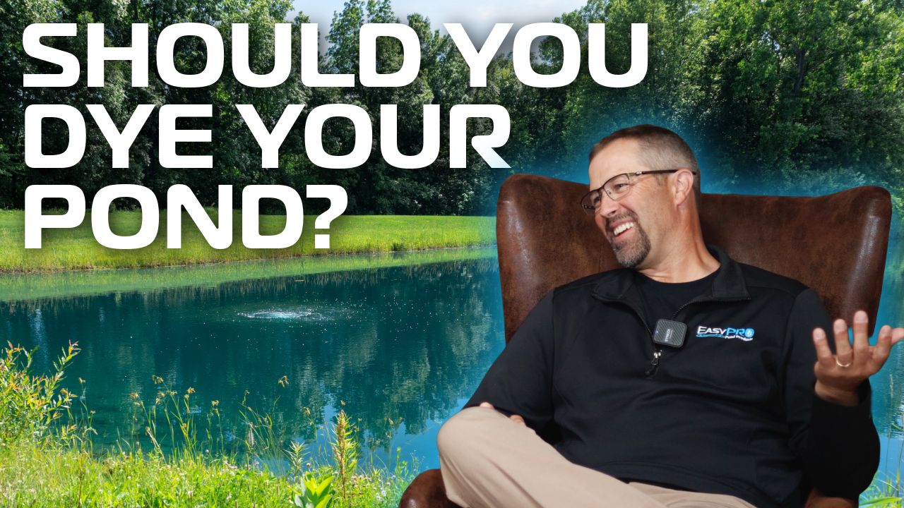 Should You Dye Your Pond? What Pond Dye Does (and What It Doesn’t)