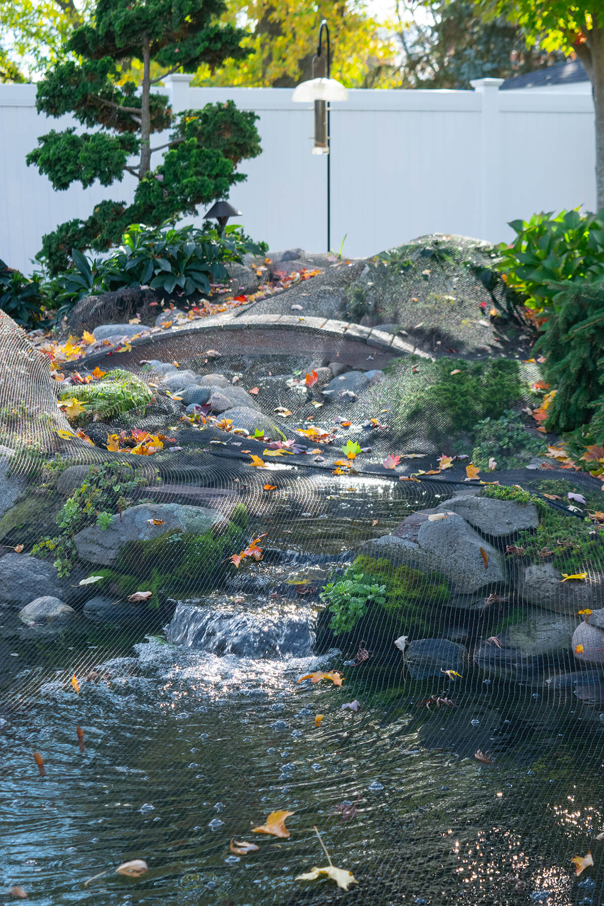 Protecting Your Pond and Fish During Autumn and Winter