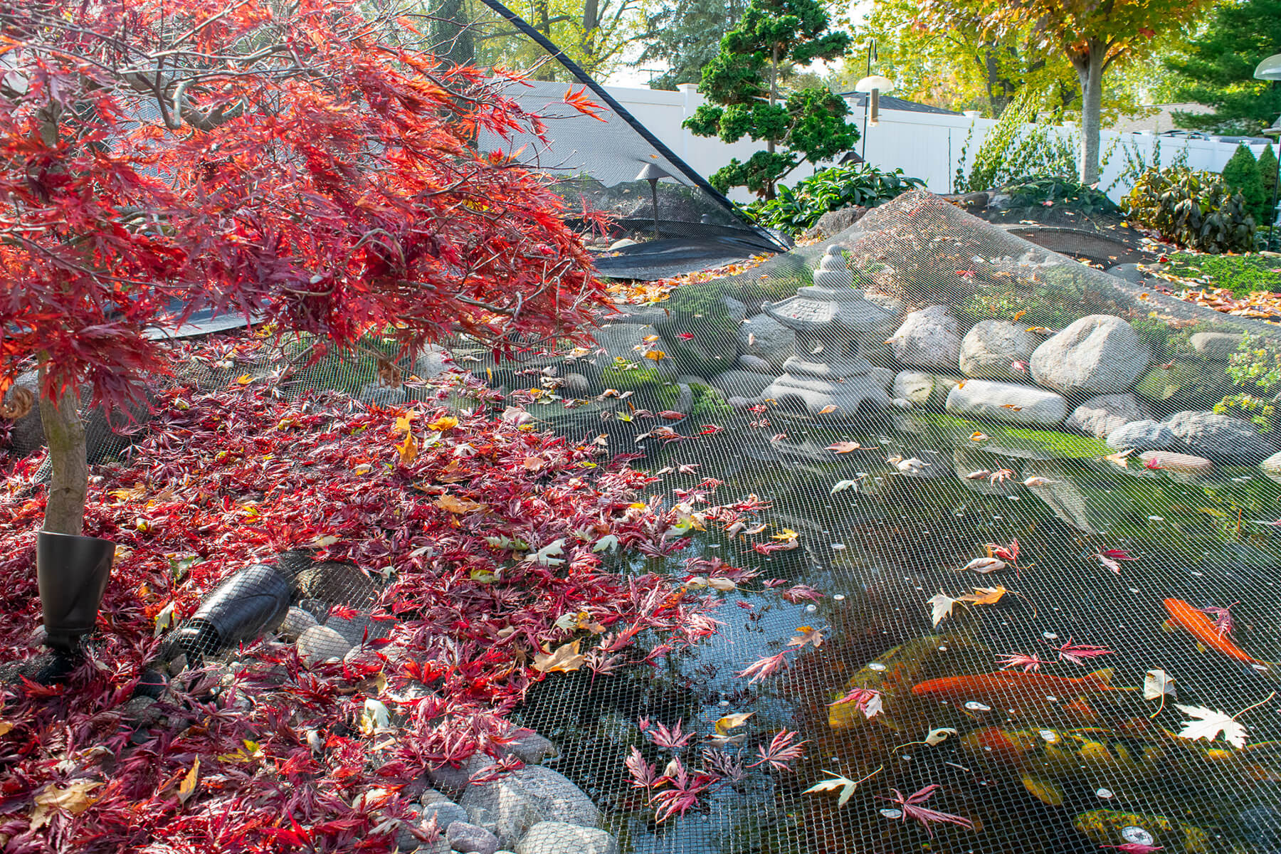 Why Does My Pond Keep Filling With Leaves?