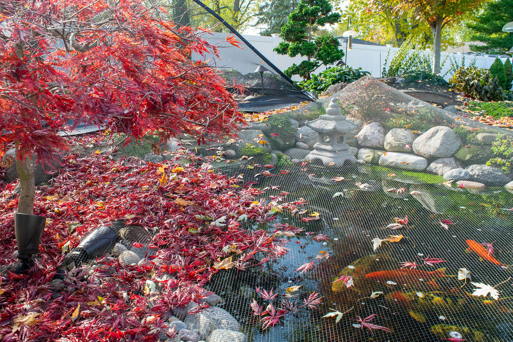 a pond filled with leaves