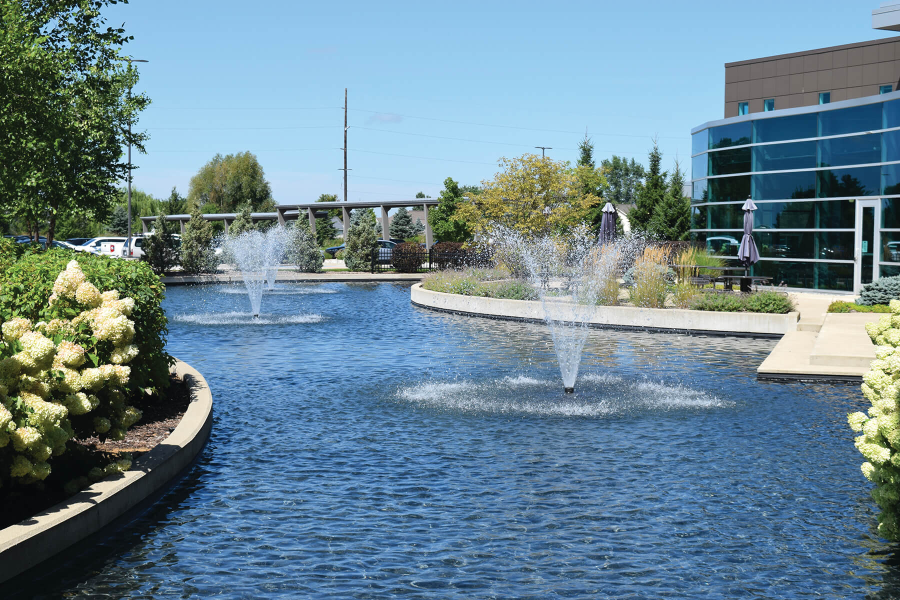 All-in-One Pond Filtration Systems: The Easy Way to Get Clear Water