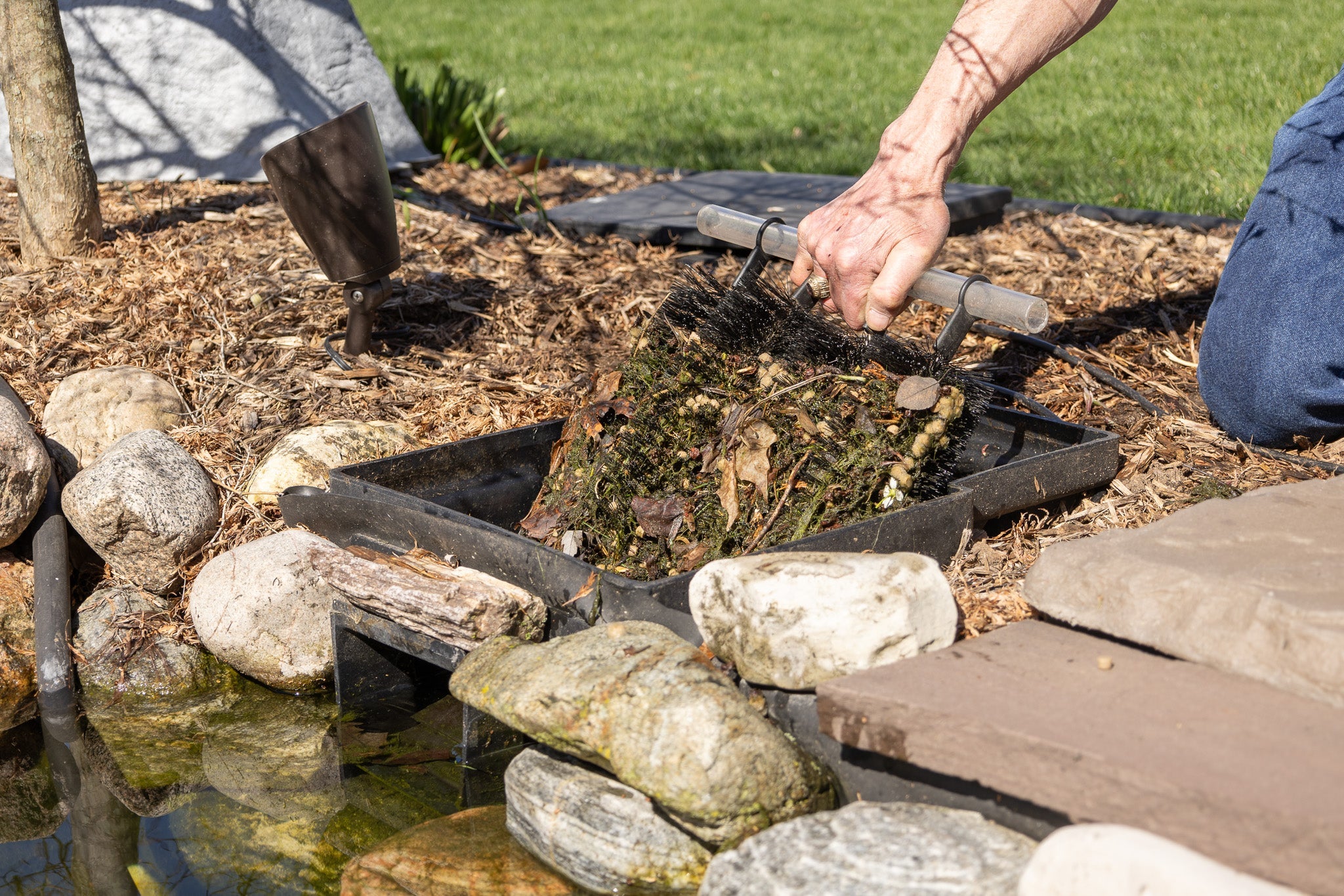 Steps for Opening Your Pond in the Spring