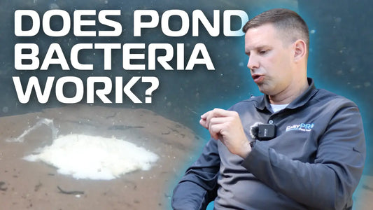 How Does Pond Bacteria Work? A Practical Guide for Better Water Quality