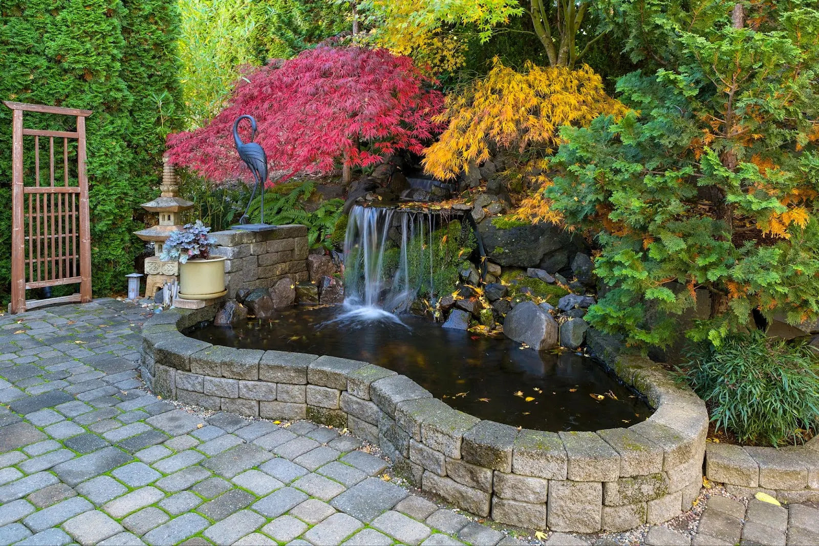 Above Ground / Raised Pond Ideas That Elevate Any Backyard