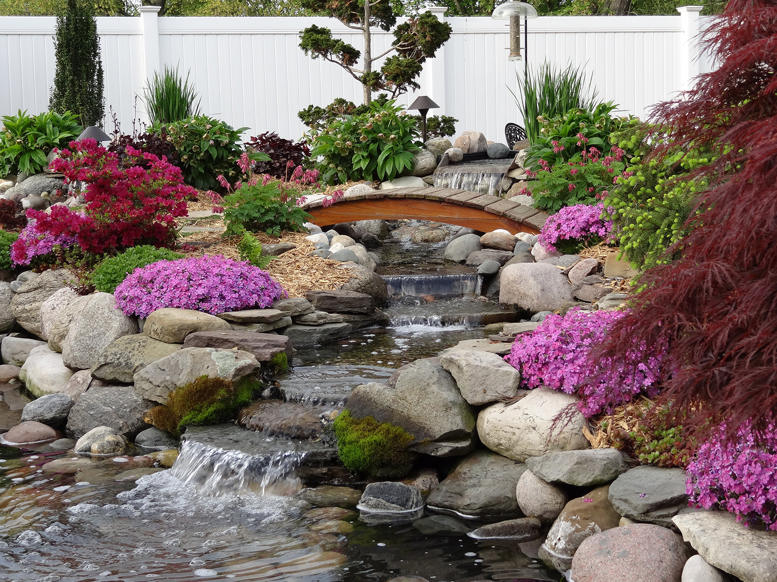 5 Things Every Backyard Pond Needs