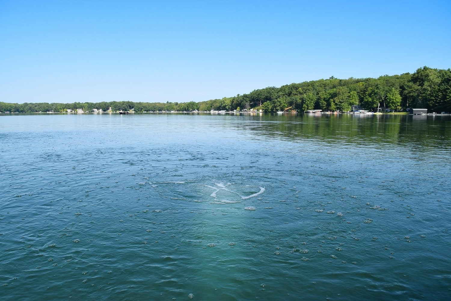 Lake and Pond Management
