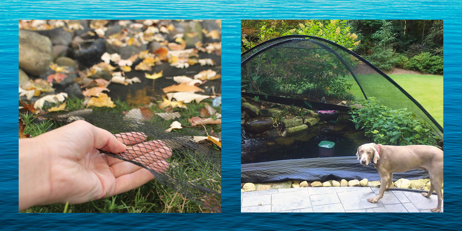 Pond Care