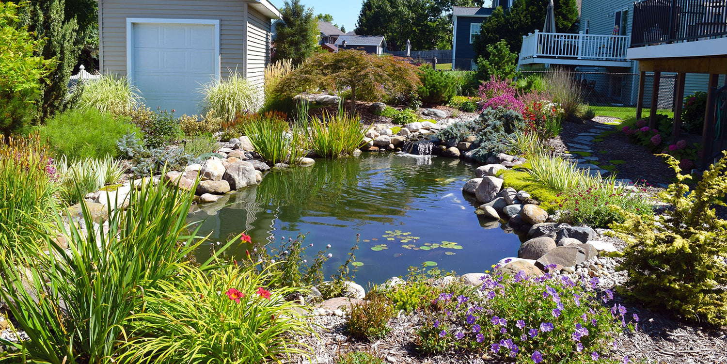 Pond Kits & Components