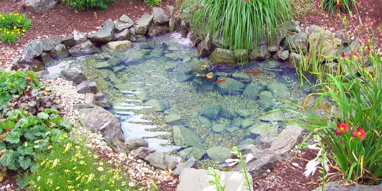 Pond Kits & Components