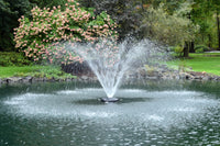 AF100 1 HP AquaFountain™ with 100′ Power Cord