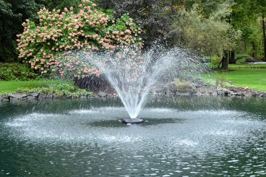 AF100 1 HP AquaFountain™ with 100′ Power Cord