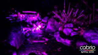 Cabrio Color Changing LED Lights