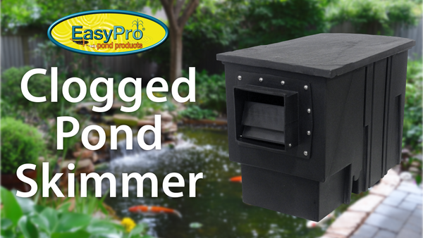 Troubleshooting a Clogged Pond Skimmer