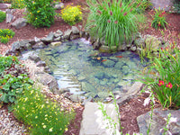 ET811FB Pro-Series Mini Pond Kit – Complete for 8′ X 11′ Pond