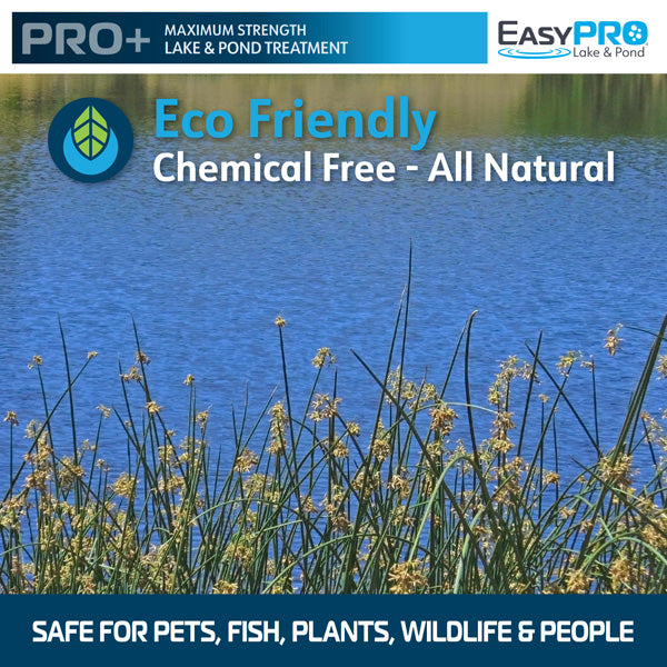 ECPD Ultra Concentrated Blue Lake Dye – Liquid – 1 Quart