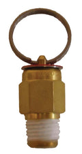 PR25 25 psi pressure release valve