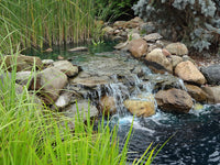 Rock pond waterfall with tall grasses, boulders and natural landscaping in background