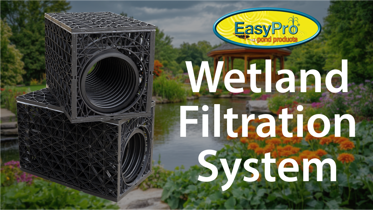 Wetland Filtration System Featuring the Pit Viper™