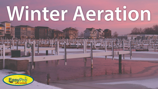 Winter Aeration Benefits | EasyPro® De-icing