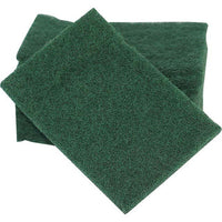 DL69P DuraLiner™ Liner Scrubber Pads (5 pads)