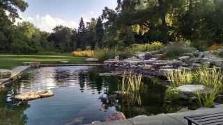 Townline Design Swimming Pool & Waterfall