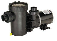 GV100 - 115v GV Series Medium Head, External Pump - 1 hp