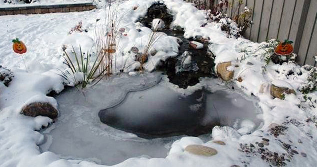 Small Pond Strategies: Ice