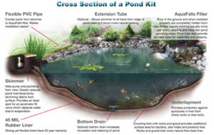 cross section of a pond kit