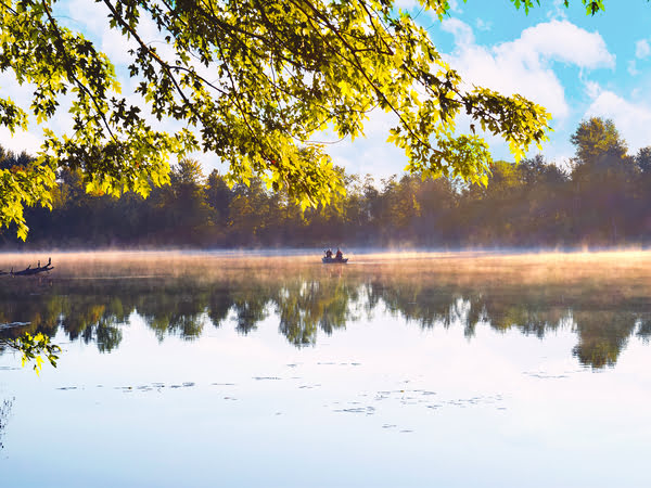 1. A serene lake surrounded by trees with a boat peacefully floating on the water.