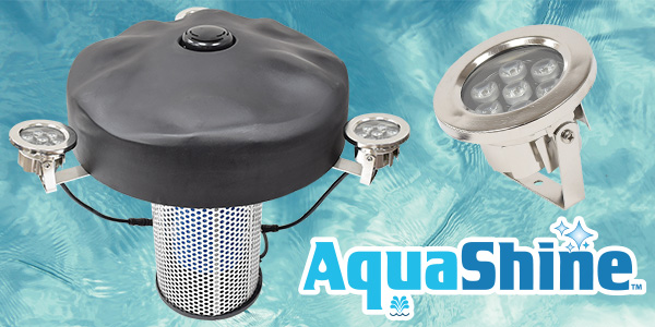 AquaShine™ Fountain Lighting